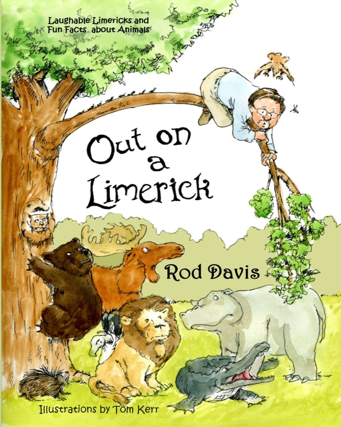 Out on a Limerick book cover